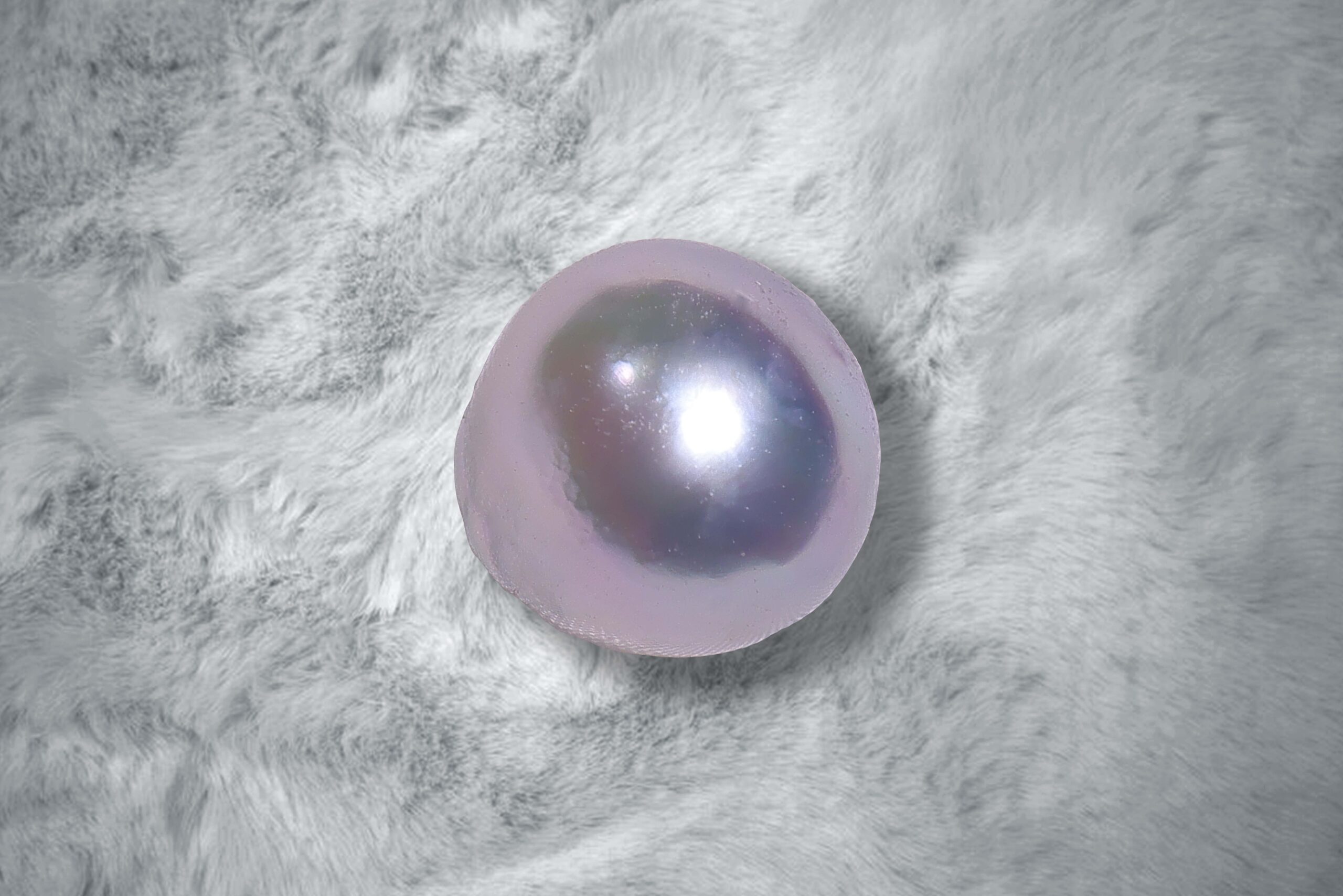 Pearl Moon Australian KC